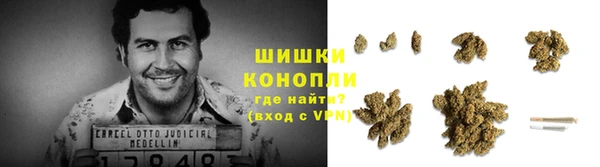 стафф Лабытнанги