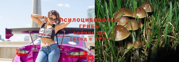 стафф Лабытнанги