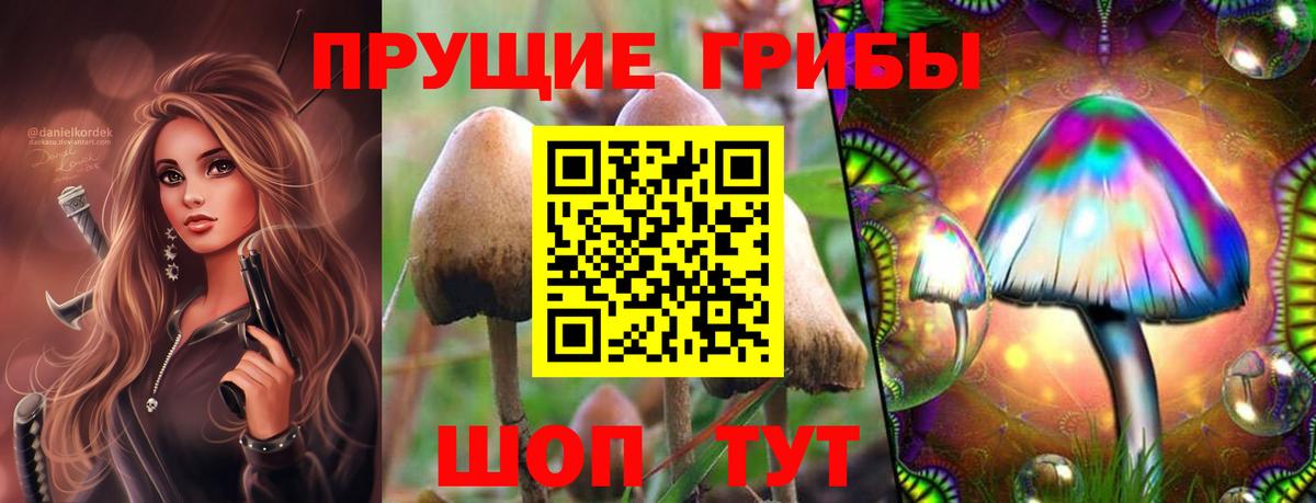 Галлюциногенные грибы мицелий  Вход с VPN  Сосновый Бор 