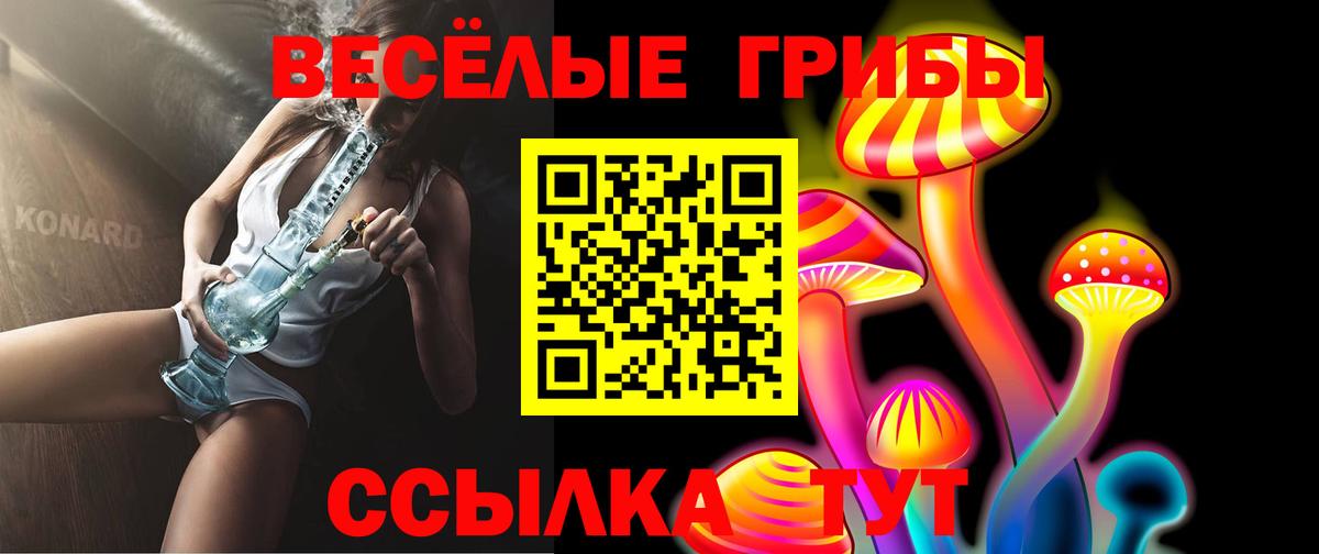 Сосновый Бор  ГАШИШ  Вход с VPN  КОКАИН  МЕФ   Канабис 