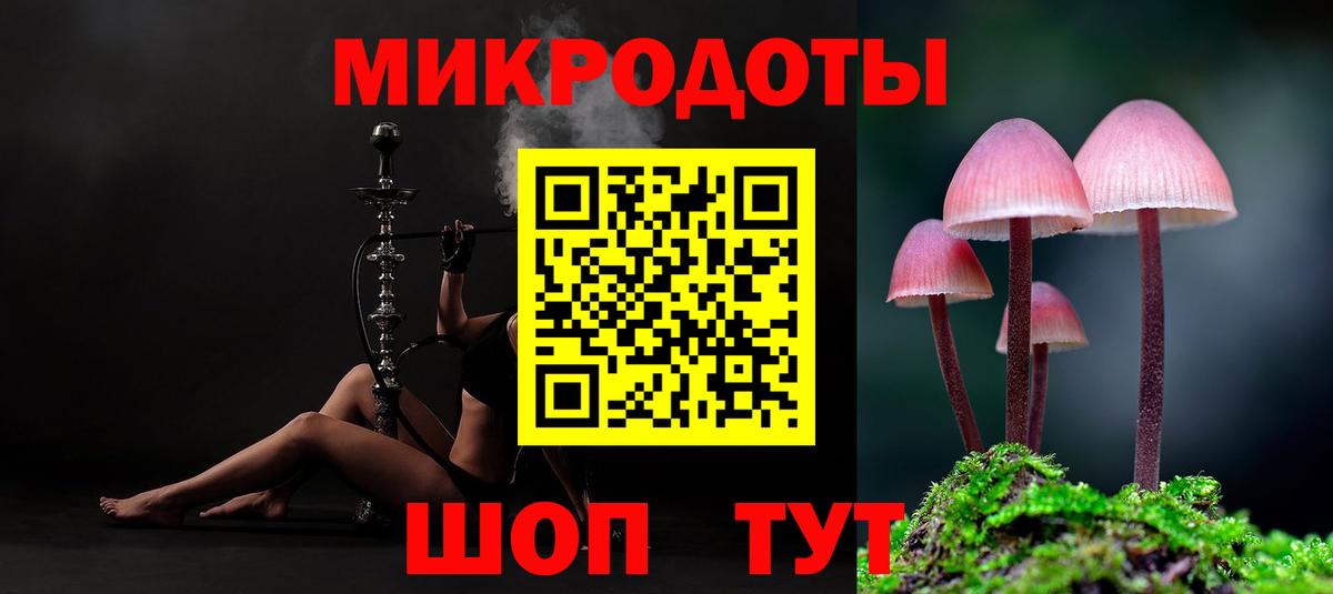 Галлюциногенные грибы Psilocybe Сосновый Бор